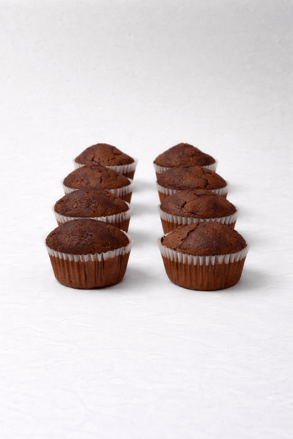 Magdalenas de Chocolate Sin gluten 8 UDS