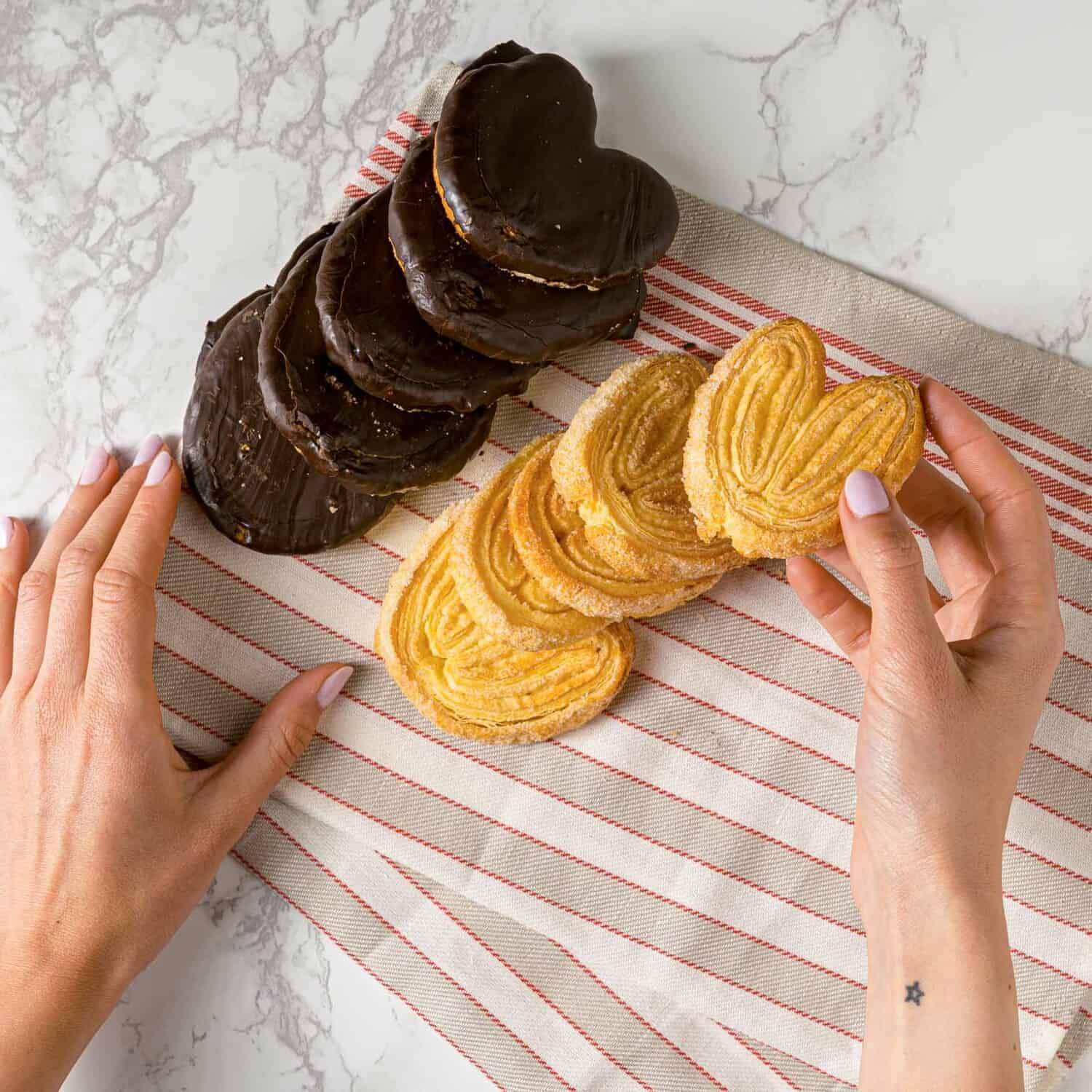 mixpalmeritas  rotated