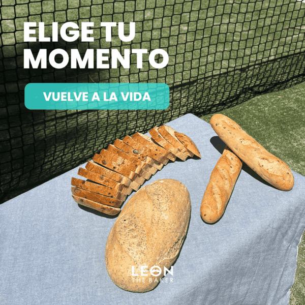 Vuelve a la vida ok